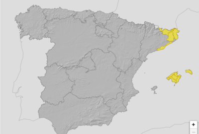 ALERTAS METEOROLÓGICAS A 22 MAY. 2024 06:00 LT