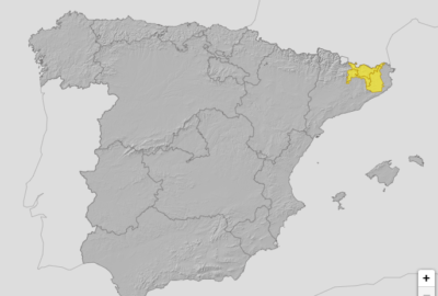 ALERTAS METEOROLÓGICAS A 4 JUN. 2024 06:00 LT