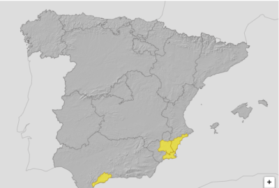 ALERTAS METEOROLÓGICAS A 21 JUL. 2025 08:00 LT.