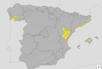ALERTAS METEOROLÓGICAS A 23 AGO. 2025 06:00 LT