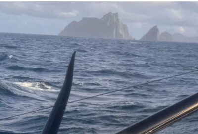 VENDÉE ARCTIQUE 2026. CUANDO LA RUTA MÁS RÁPIDA NOS ES SIEMPRE LA QUE ELIGES
