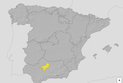 ALERTAS METEOROLÓGICAS A 31 AGO. 2026 08:00 LT.