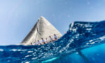 44ª COPA DEL REY MAPFRE. AFORO...